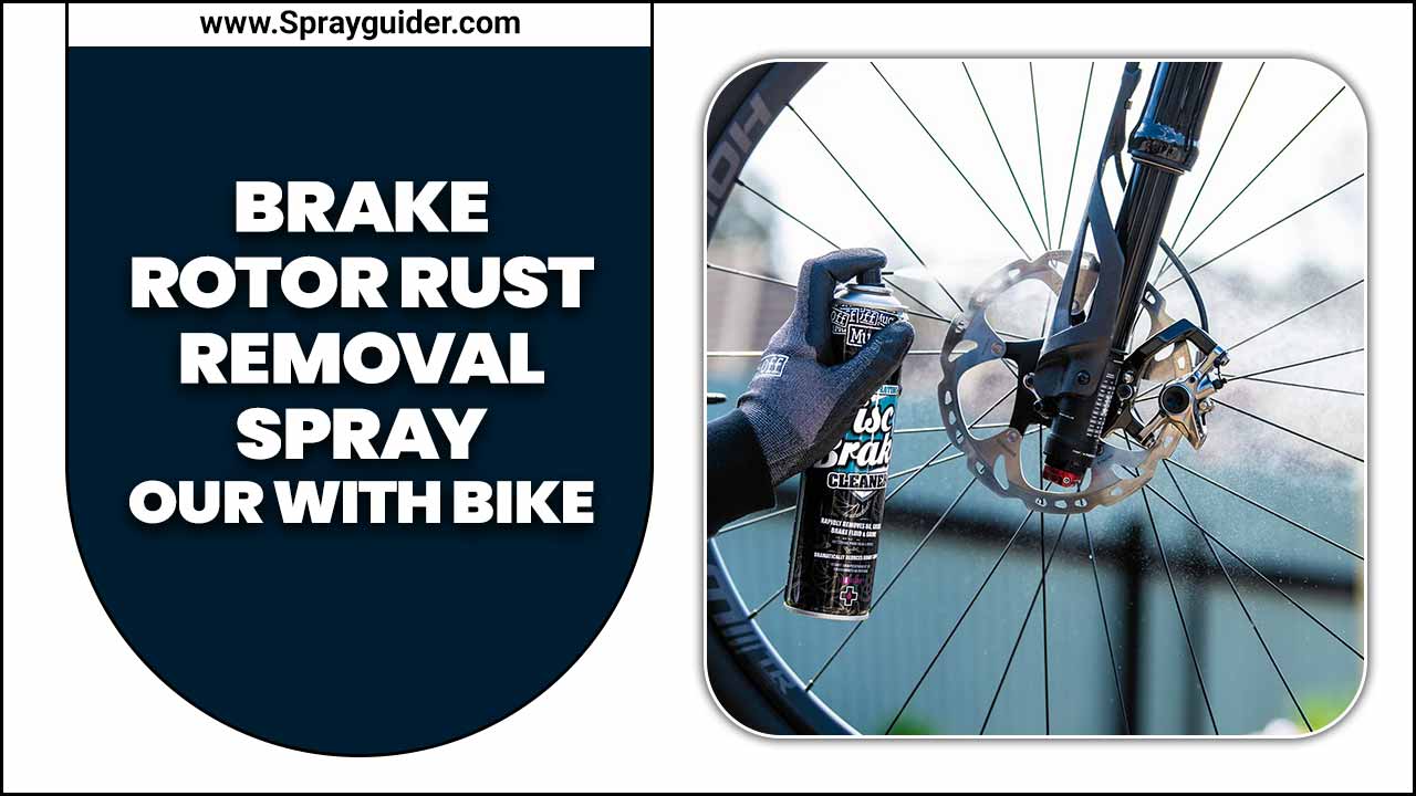 Brake Rotor Rust Removal Spray Our With Bike