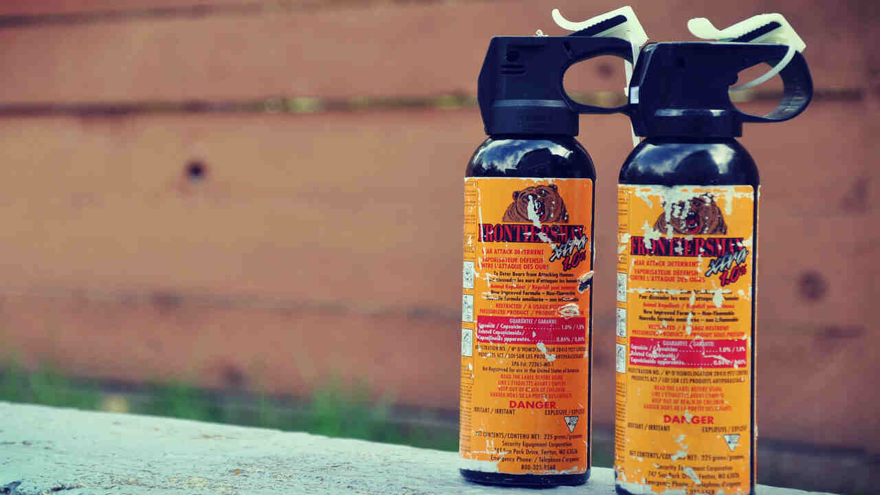 Ensuring Easy Accessibility And Quick Deployment Of Bear Spray