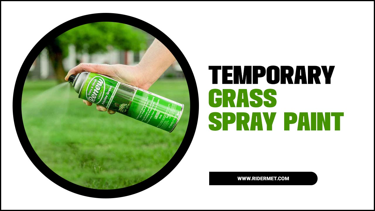 Temporary Grass Spray Paint