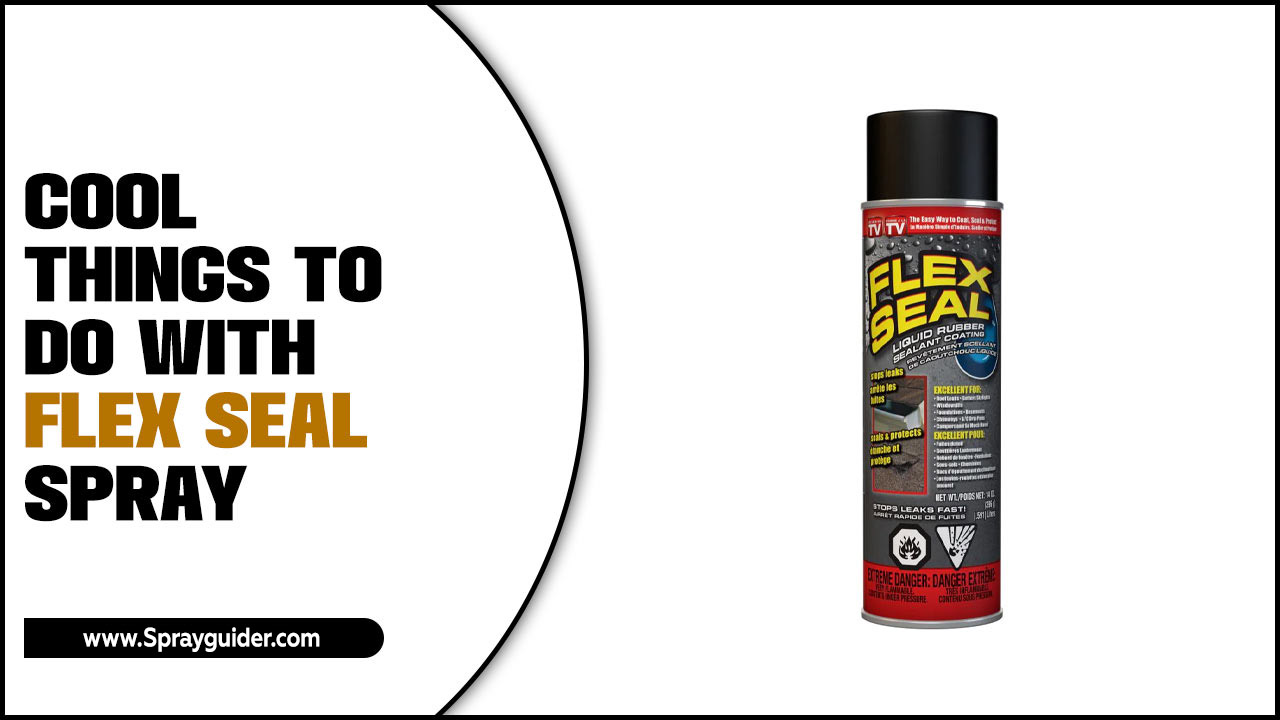 Cool Things To Do With Flex Seal Spray