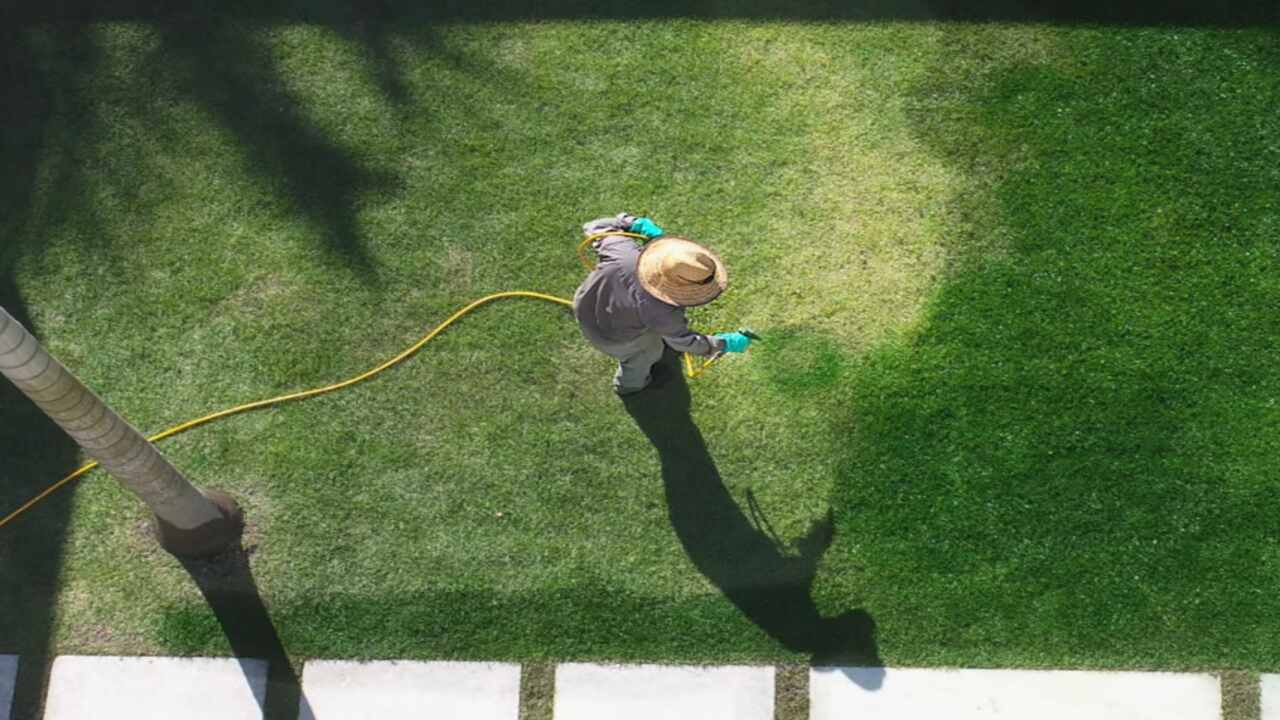 Understanding The Basics Of Temporary Grass Spray Paint